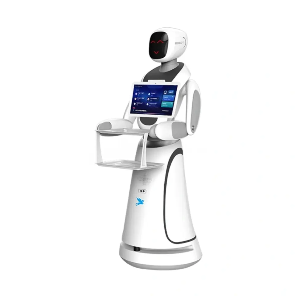 Amy Servis Robotu