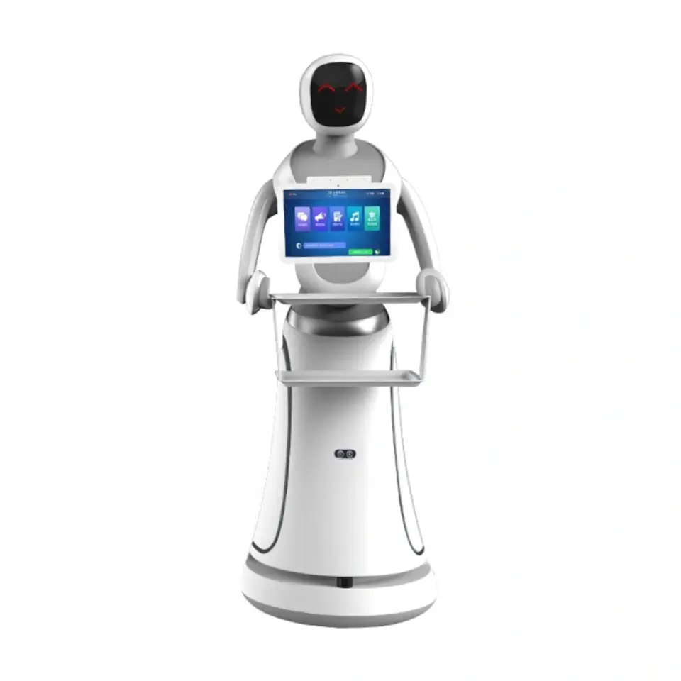 Amy Servis Robotu