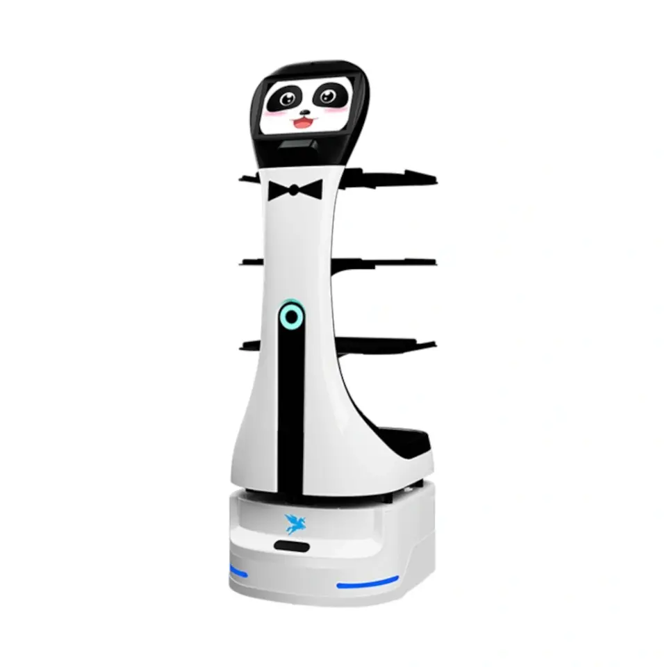 Panda Servis Robotu
