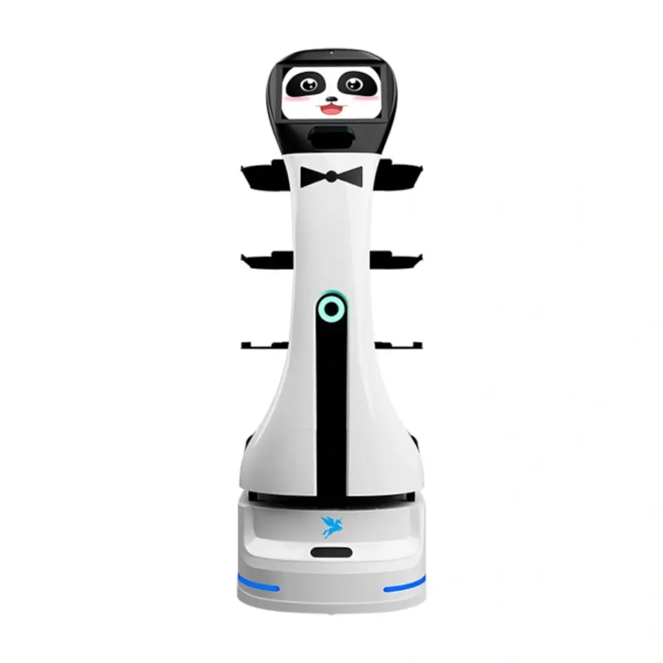 Panda Servis Robotu