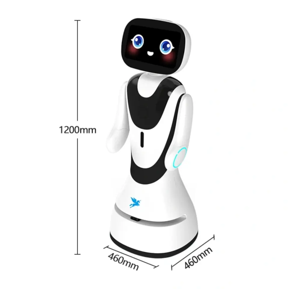 Timo AI Karşılama Robotu